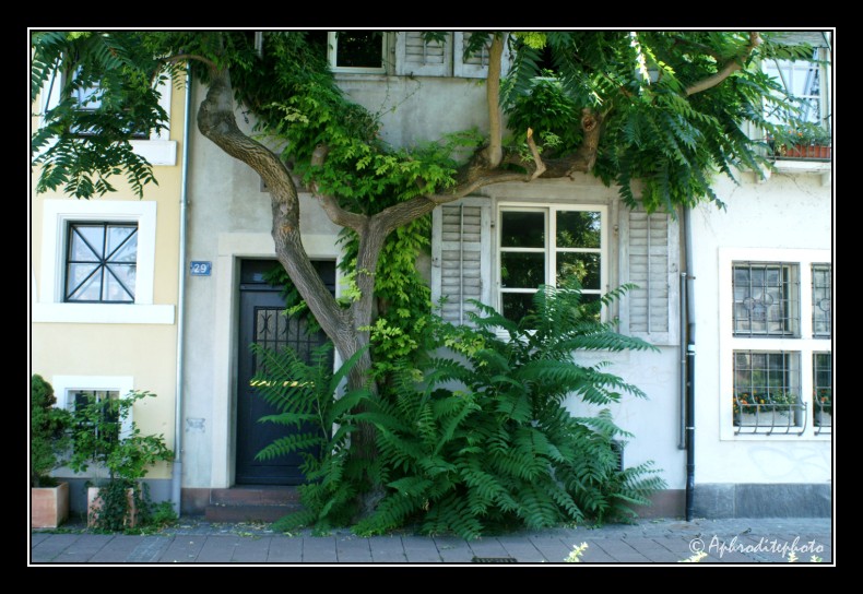 08 Typische Gebäude am unterer Rheinweg